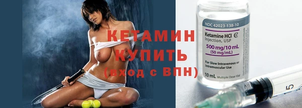 крисы Осинники