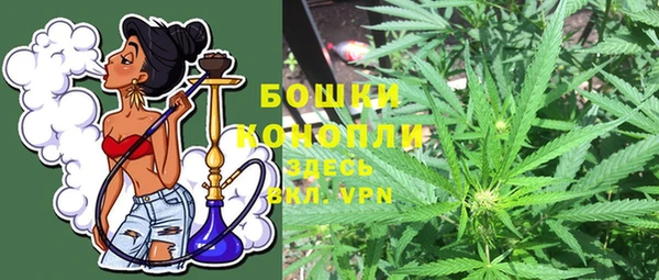 прущие крисы Няндома