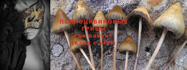 ALPHA PVP Дедовск