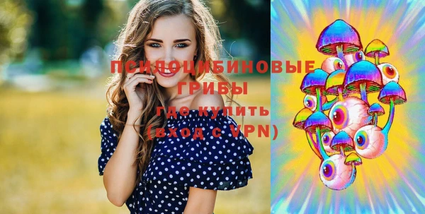 крисы Осинники