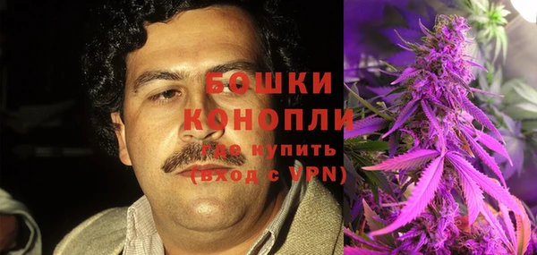 прущие крисы Няндома