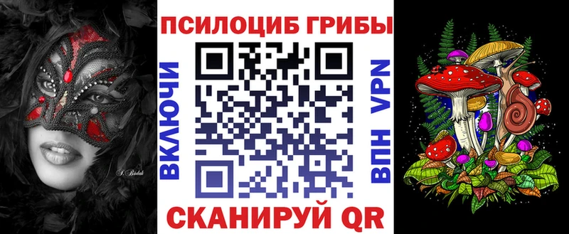мега маркетплейс где можно купить Исилькуль Псилоцибиновые грибы Magic Shrooms